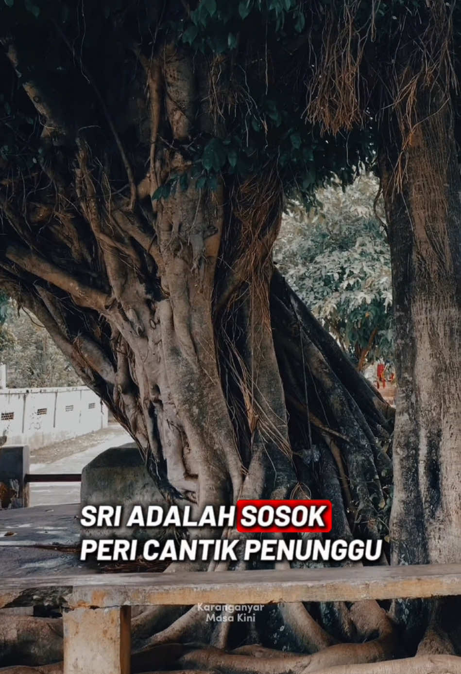 Podo iseh nduwe rekaman suarane pora mas mbak?😁 #karanganyarmasakini #waduklalung #karanganyar24jam #kabarkaranganyar #horor 