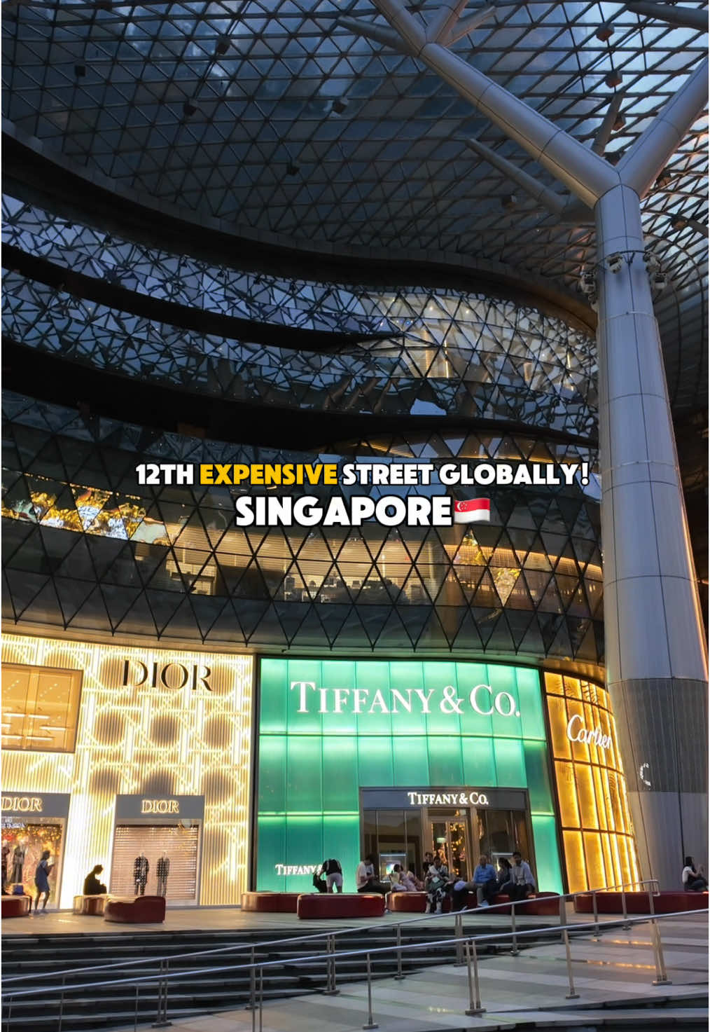 📍Orchard road in Singapore is the 12th most expensive streets globally! Do you know this? #singapore #singapore🇸🇬 #travel #travelsingapore #travelblogger #travelphotography #singaporean #travelsingapore #orchardroad #traveller 