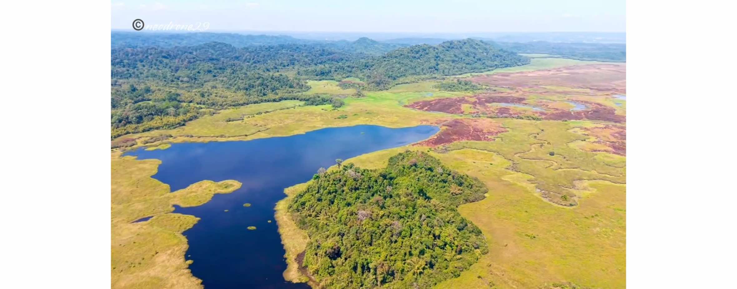 The wonderful Cát Tiên national park and its wild nature in Vietnam. Video by DJI Air 3S drone. #neodrone29 #djiair3s #cattiennationalpark #cáttiên #vietnam 