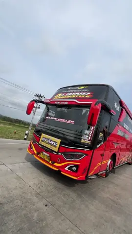 albino blong kanan🤘 ftg : @nopalepale #busmania #bismaniacommunity #selatan #selatanraceway #selatanwajibkencang #albinosabebstyle #sanjayatrans #tunggaljaya #videobis #basuri 