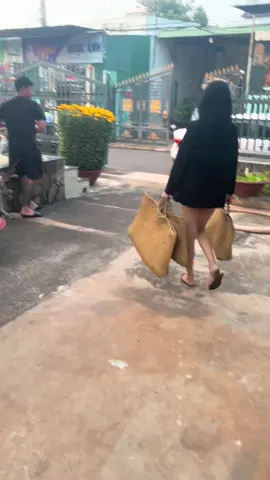 Anh trai Xuân Lộc tiếp tục ủng hộ 3 bé 🐓 về chơi xuân 🌼 Lộc đầu năm 🧧cảm ơn anh trai luân tin tưởng ủng hộ em út🤗 👏 Chúc A trai gặp nhiều may mắn🥰#gàchoivietnam🇻🇳 #bồgàbìnhhiệp #gà_chiến_đấu #gà #gàchiến #gàchọi #c3 #c2 #c1 #cpc3 #cpc2 #cpc1 #trend #treanding #xh #nhạchaymỗingày #xuhuongtiktok #xhh #xh2025 #CapCut 