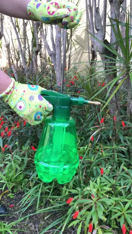 Pulverizador Com Pressão Prévia 1,5 Litros Trapp