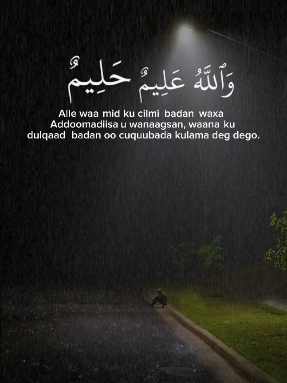 Dhaxalka❕️#quran #quran_alkarim #somalitiktok #muslim #foryoupage #ahmetyuusuf 