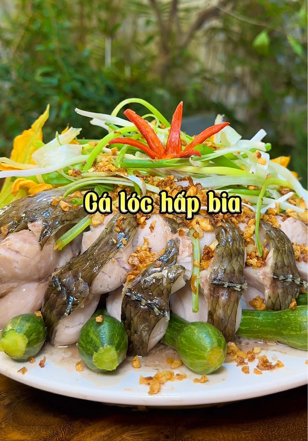 Món cá lóc hấp b.i.a đơn giản nhẹ nhàng súc tích cả nhà ơi, mời cả nhà nhé :)))  #VũThị🔥  #cálóchấpbia #ẩmthựcviệtnam #food #mónngonmỗingày #fyp #LearnOnTikTok 