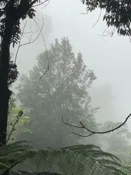 hujan+CAS #4u #fyp #foryou #xyzbca #kabut #cas #hujan 