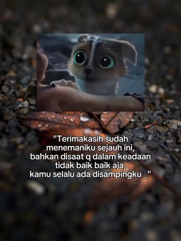 😌😌😌#assalamualaikum #makasih tuk KK Aulia sudah menemaniku sejauh ini q syg kk🥰😘#fypp #fypviralシ 