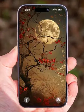 #moon #🌕 #wallpapers #fullmoonvibes #wallpapers #4k ##iphone 