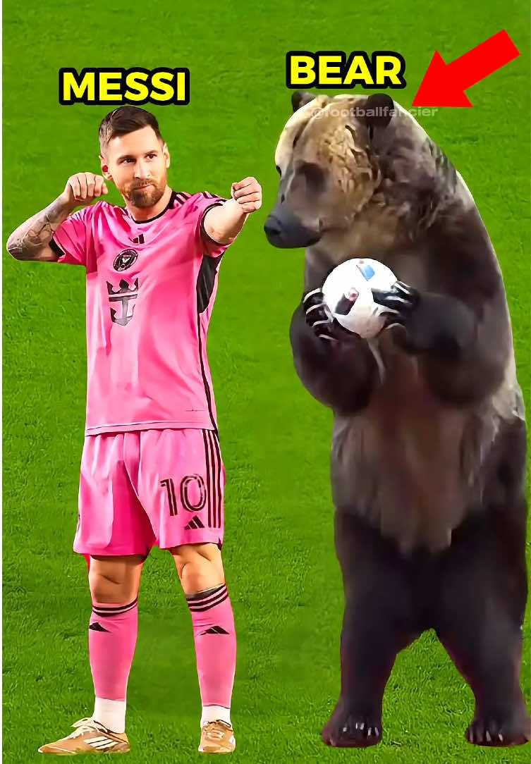 Animal Moments #football #Soccer