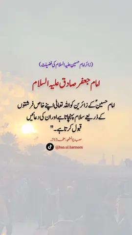 امام جعفر صادق علیہ السلام نے فرمایا: 