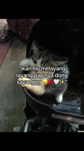 awwww 😖😖 #fyppppppppppppppppppppppp #foryou #bucin_story 