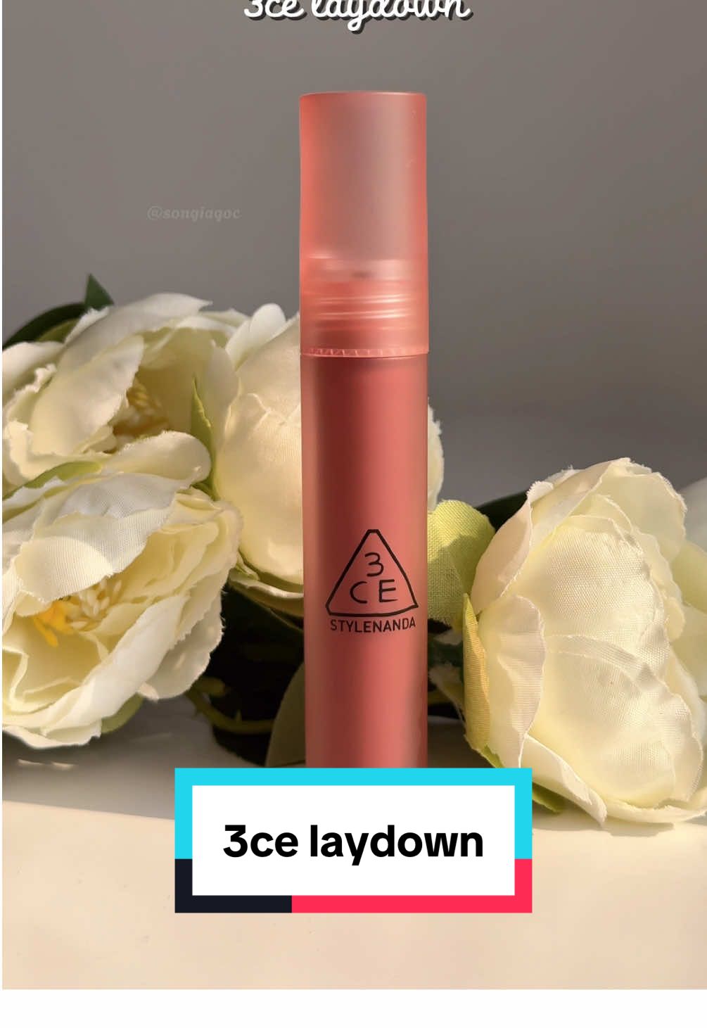 3ce laydown một màu son đẹp và nhẹ nhàng!! #3ce #3celaydown #3ceblurwwatertint #tiktokshoptet 