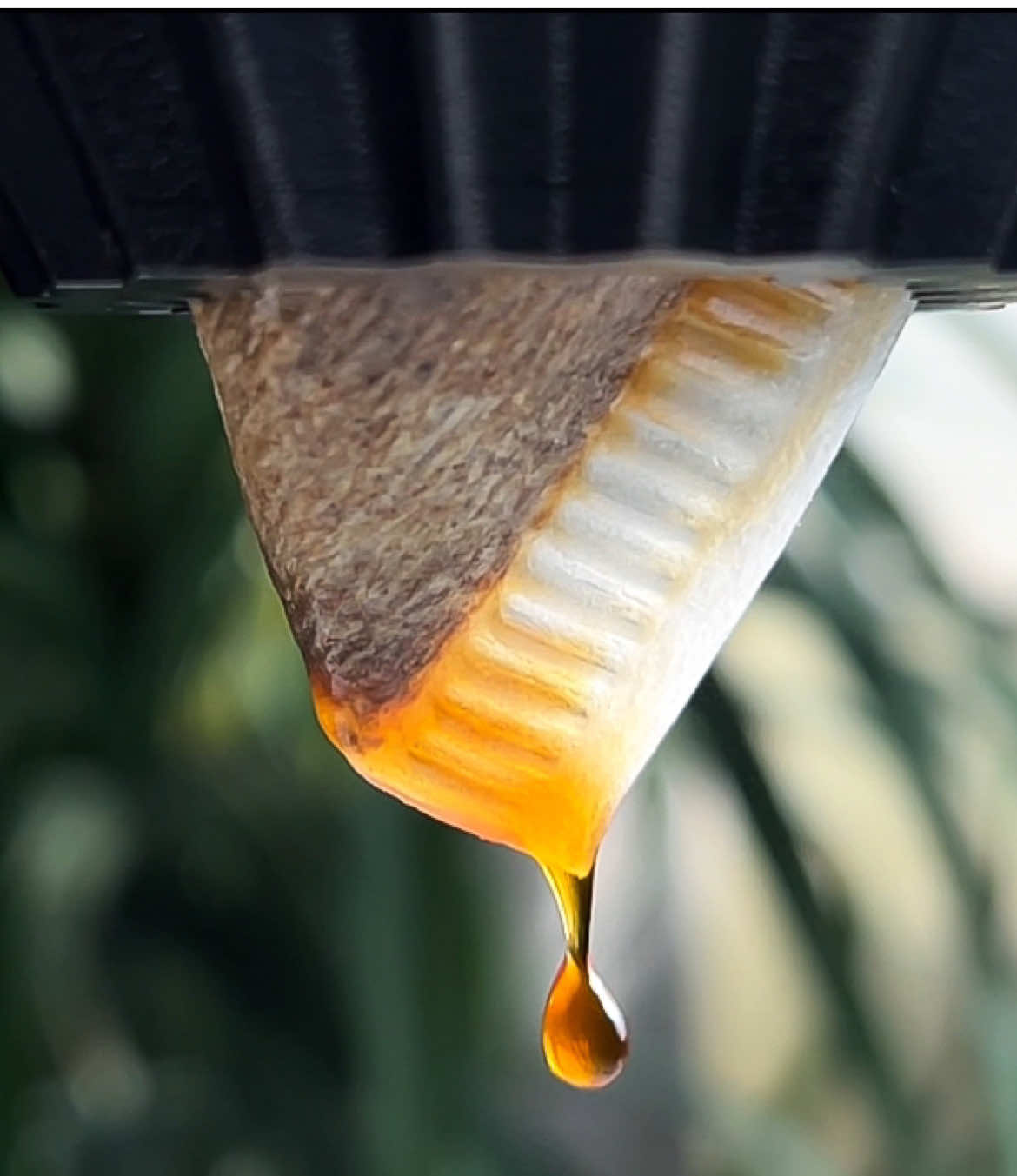 ☕️✨ #your_coffee #coffee #v60 #fyp #explore #قهوة_مقطرة #تصوير #اكسبلور #foryou #viral #tiktok 