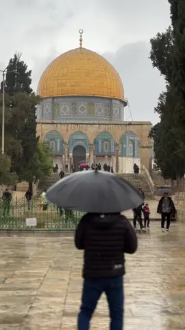 والظلام لن يطول…