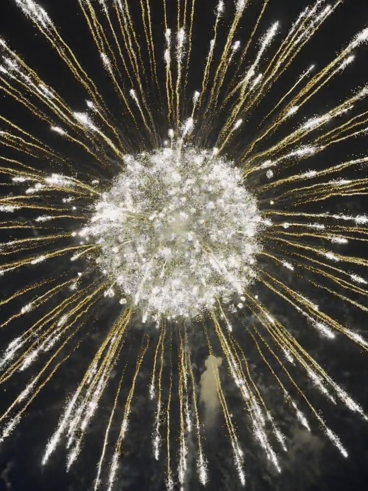 World's Biggest Firework Bombs!🤯💥 #fireworks #pyro #pyrography #fireworkshow #fireworkshell #fyp #foryou #tiktok #feuerwerk #fuegosartificiales #fogosdeartificio #bomb #vuurwerk #silvester #2025 