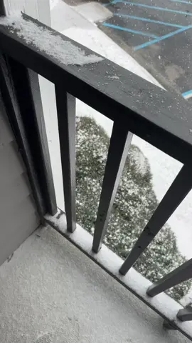 #stitch with @John Derting #늙음필터 