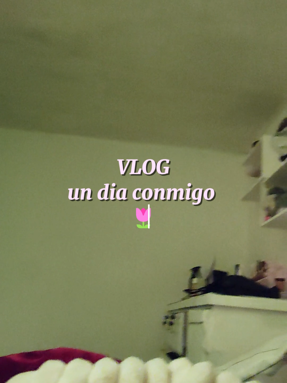 Mi primer vlog☺️🌸🌷✨ #Vlog #vlogs #undiaconmigo #mivida #🌷 #paratí #recogiendo #sermimejorversión #videoviral #diaconmigo #judi_heart #bootcamp 
