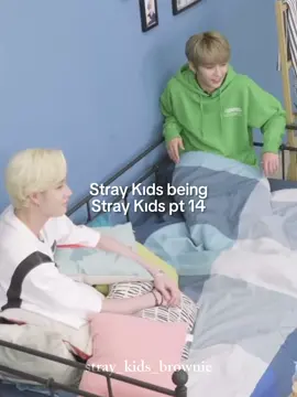 Stray Kıds being Stray Kıds pt 14 #straykids #bangchan #leeknow #changbin #hyunjin #han #felix #seungmin #jeongin 