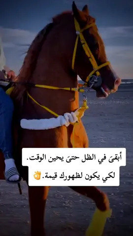 #عبارات #خواطر #خيل_وخياله🐎 #fypシ #explore #funnytiktok 