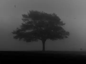 ★ : حَتَّىٰ إِذَا بَلَغَ بَيْنَ السَّدَّيْنِ وَجَدَ مِن دُونِهِمَا قَوْمًا لَّا يَكَادُونَ يَفْقَهُونَ قَوْلًا . ⋆ سُورة الكَهف ٩٣  { وسار حتى وصل ثغرة بين جبلين فوجد من قِبَلِهما قومًا لا يكادون يفهمون كلام غيرهم } #fyp #quran #قران#استغفرالله #سبحان_الله_وبحمده_سبحان_الله_العظيم #foryou #fypシ #islam #iraq 