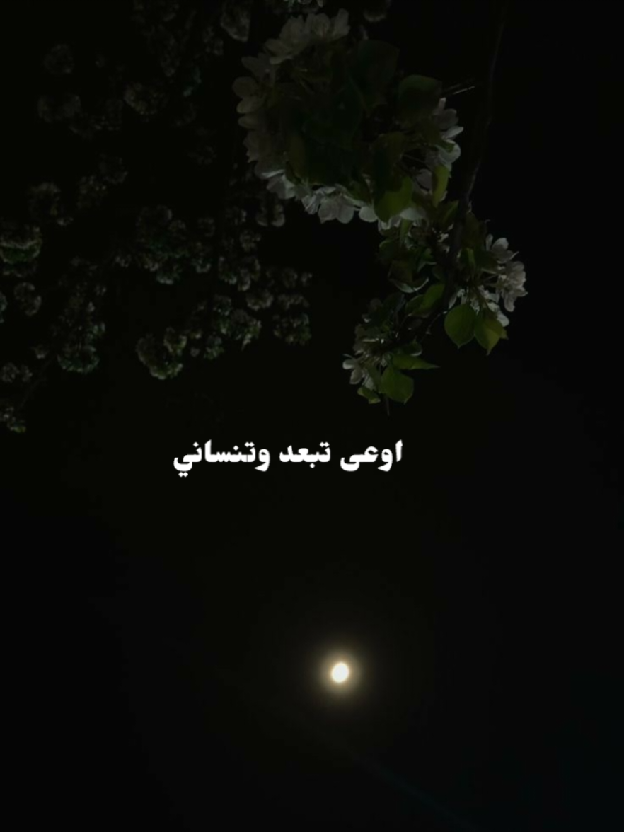 اوعى تبعد وتنساني✨🖤 #fyb #viral_video #forupage #تصميمي #تصميم_فيديوهات🎶🎤🎬 #حسام_حبيب 