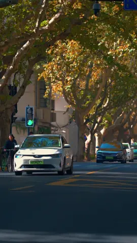 早安☀️。。。#CapCut #xh #fypシ #trending #hoctiengtrung #tiengtrungmoingay #viral #xuhuong #chaobuoisang