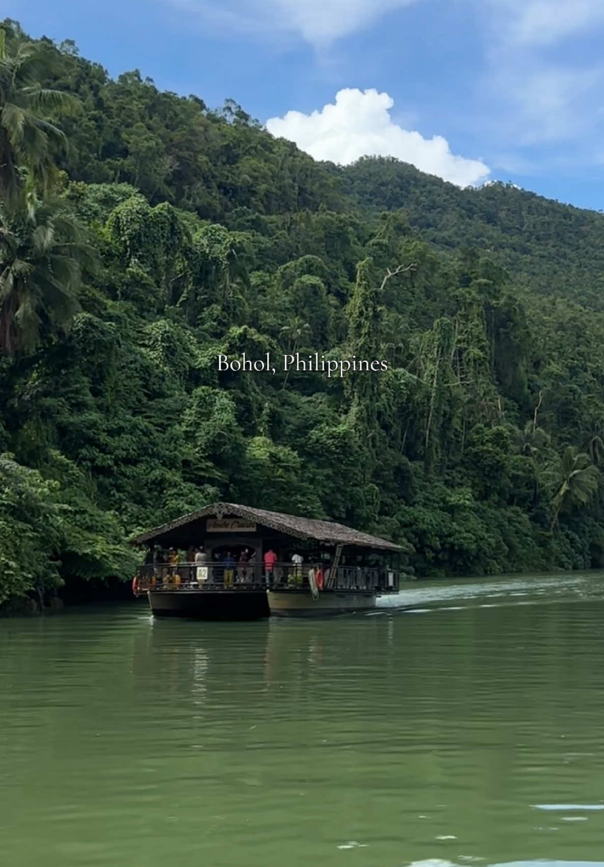 Completely in love with Bohol’s magic 🌴✨ #bohol #philippines #BoholAdventures #travelphilippines #boholphilippines  #TropicalParadise #PhilippinesBeauty #IslandVibes #NatureLovers #TravelGoals 
