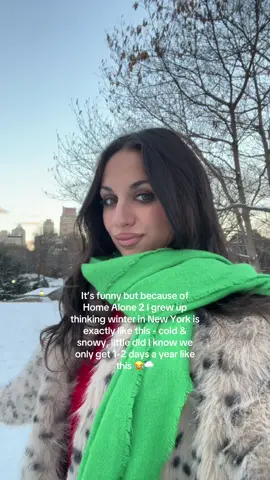 Although it’s freezing 🥶 it’s so beautiful 🥹🌨️ #nyc #nycwinter #newyork 