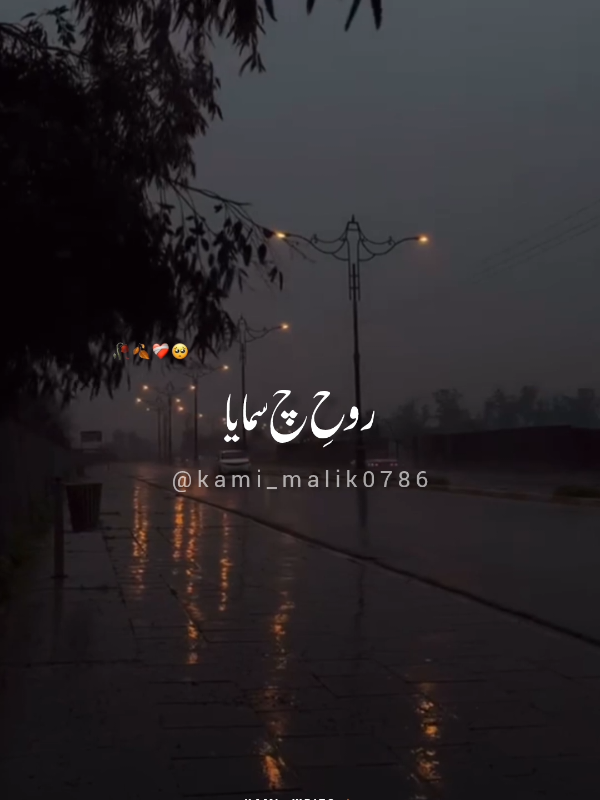 ROKAN KINJ ME KHAYALAN DE PARWAAZ NU😭🙏🏼💔 . . . . #sadsong #bhuliyekiwe #satindarsartaj #punjabisong #sadsongstatus #songstatus #sadstatus #sadboy #boysad #aloneboy #alone #broken #Sad #aestheric #bollywoodsong #bollywood #foryoupage #fypシ #kami_writs🍂 #fyppppppppppppppppppppppp 