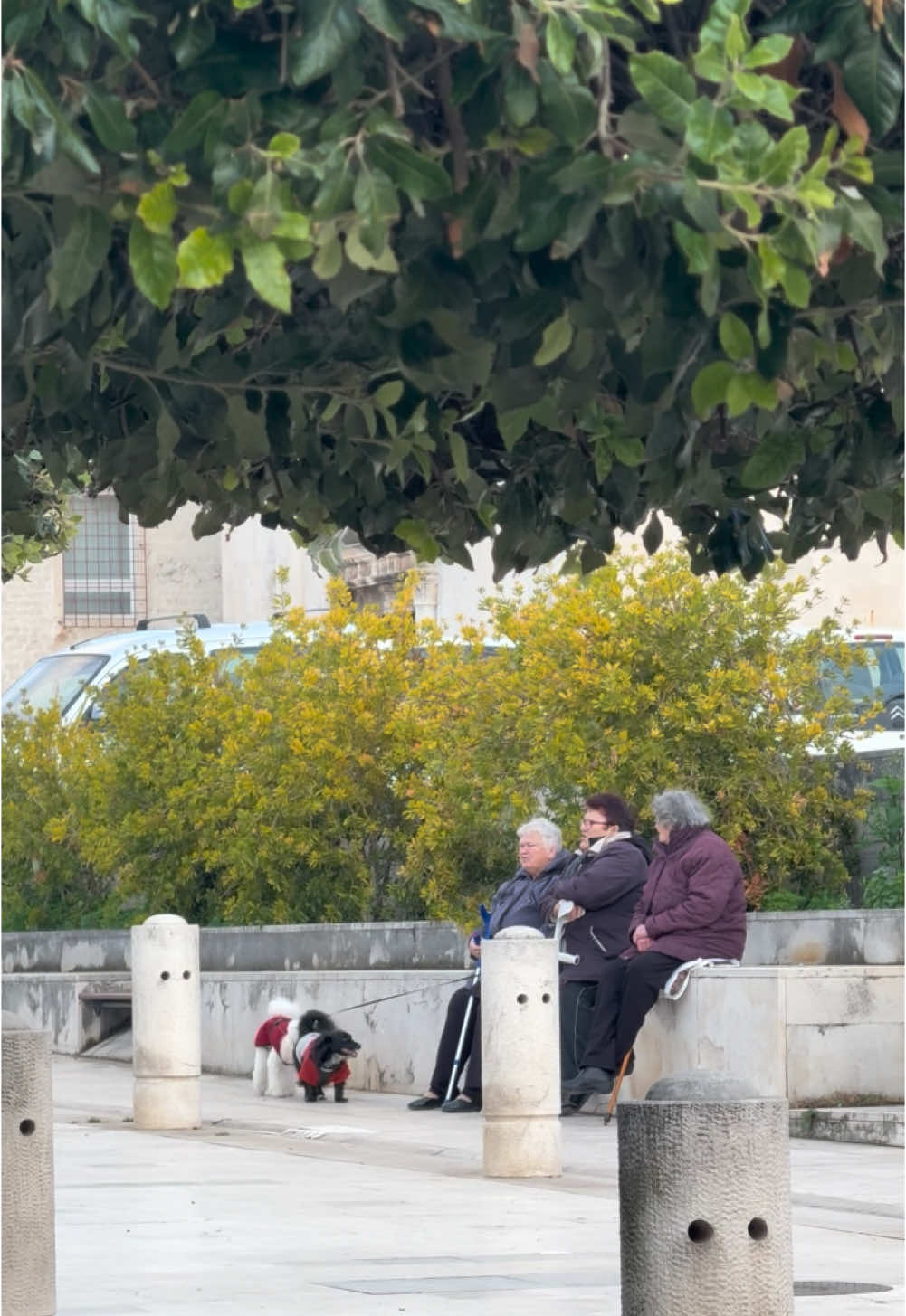 🤍 #zadarcroatia #zadar #zadar_region #likezadar #oldtown #tomislavivcic #mojgrad #ljubav #tusoltantotu #Love #people #culture #ulice #sunset #peace #croatia #meditteranean 