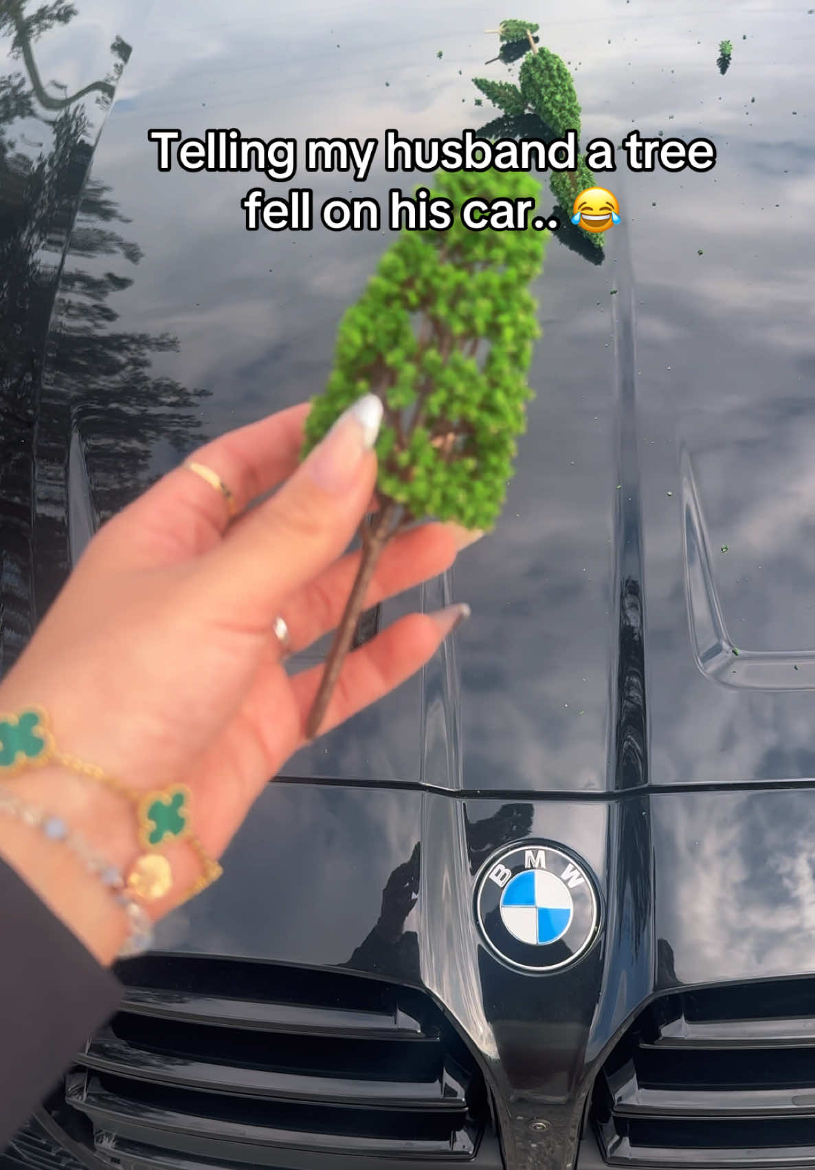 His face when he saw the tree on his car 🤣