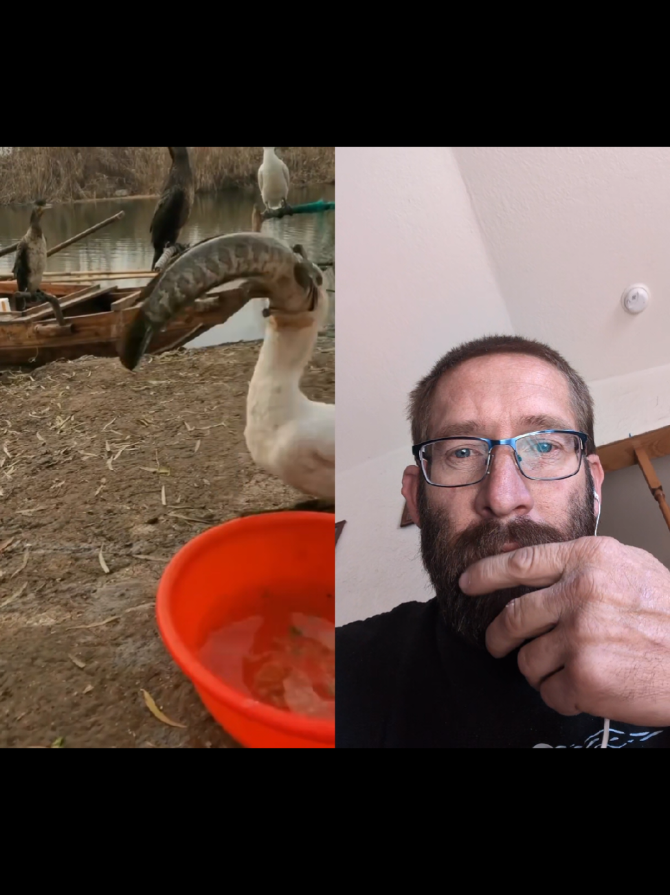 #duet with @TheRealTarzann #fyp #lol #wtf #fyp #fypシ゚viral 