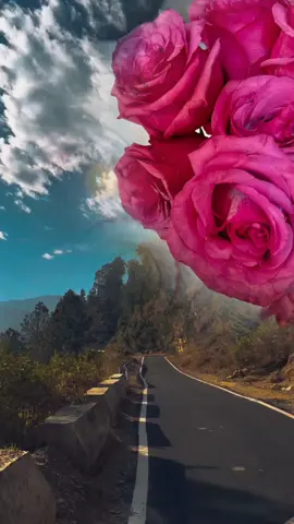 حقيقه الدنيا #الدنيا #حقيقه #موعظه #InspirationByWords #كلمات #دعاء#مقاطع_دينية#فائدة_دينية#نصائح_دينية #نصيحة#موعظة#تصاميم_ghym3377 #fyp #foryou #fypage #fypシ゚ 