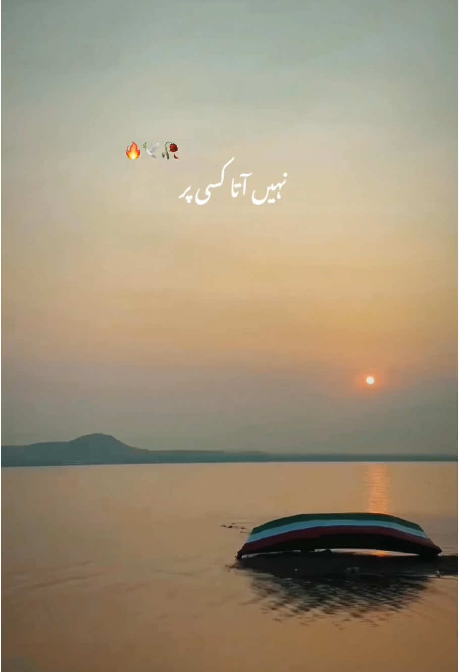 نہیں آتا کسی پر اب دل ہمارا 😒❤️‍🩹🥀 #foryoupagе #poetry #deeplines #shayri #lines #status #BookTok #fypシ゚ #viralvideo #growmyaccount 
