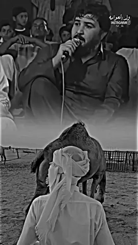 لاينفك خال لا عم 👌🏻🥀 #شتاوي_وغناوي_علم_ع_الفاهق❤🔥  #غناوي_وشتاوي_علم_الليبي❤💯🔥   #مصمم_أيمن_العوامي🔥 #ولد_العوامه🔥✈️ #fyp #tiktok_india 