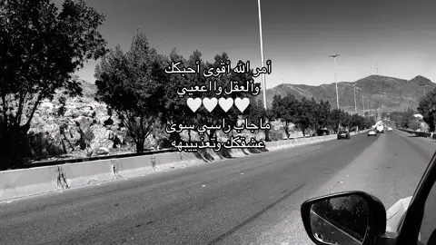 #ماجد_المهندس #fyp #foryou #foryoupage #tiktok #trending 