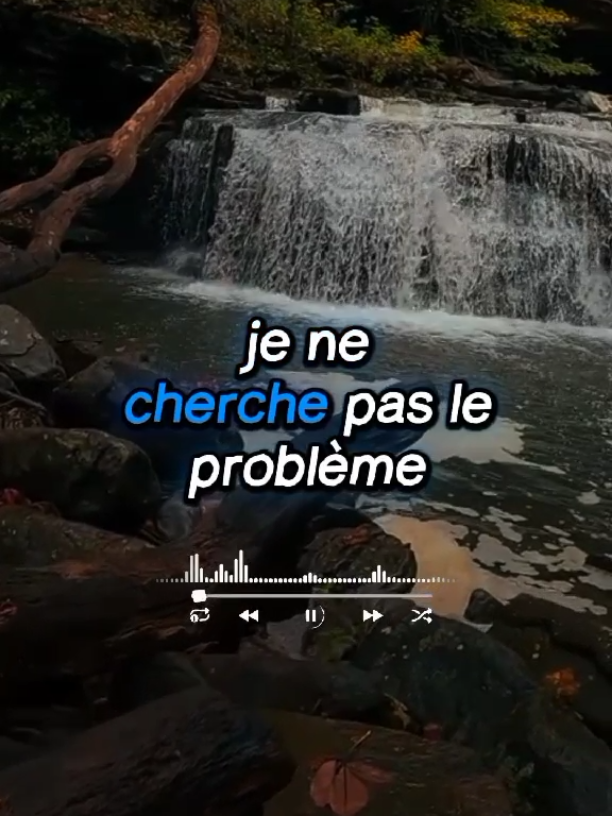 Je ne cherche pas le problème, mais quand tu me provoqueras, tu me trouveras.#consiel #citation #education #motivacion #capcut_edi #motivation #viralvideo #viraltiktok #france #foryoupage❤️ @La voix de succès 