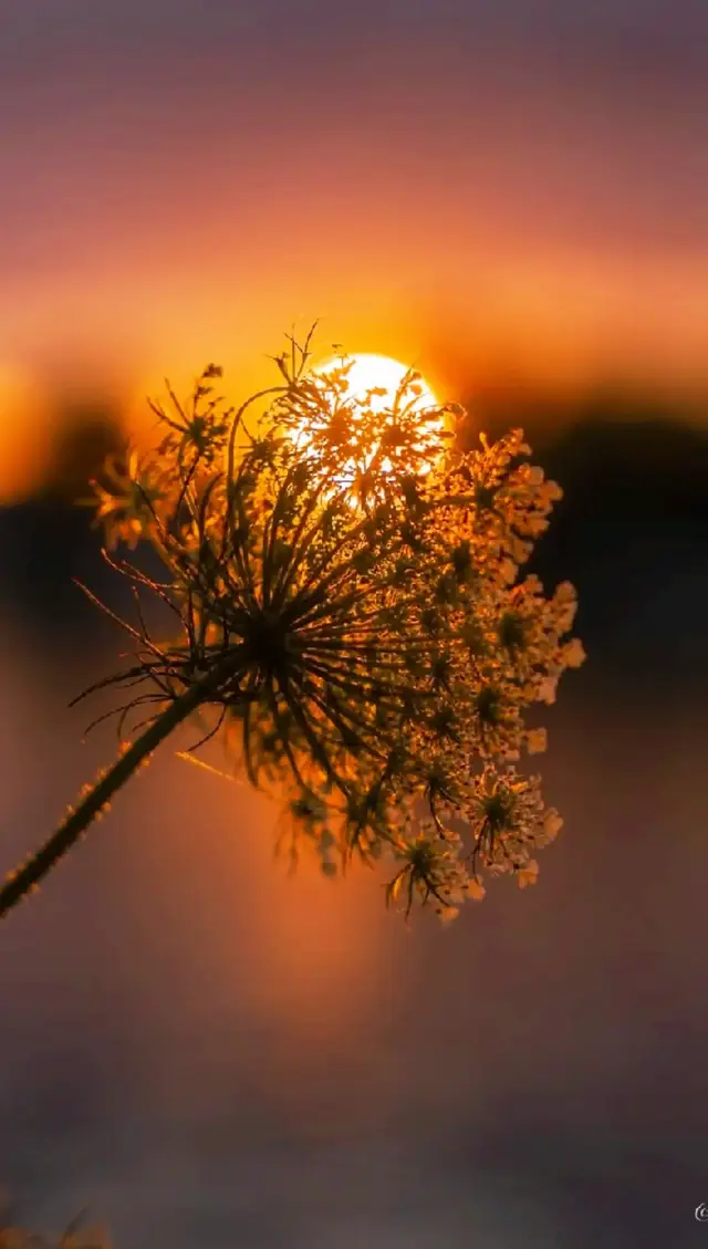 #يالليل_من_الهوا_والشوق 