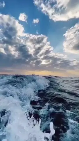 إنما الحَياة تُؤخذ بالبساطة والكثير من الحُب.