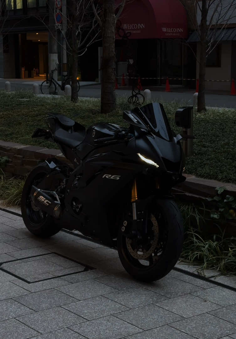 My Type🖤 #Yamaha #R6 #sportsbike #motorcycle #bikelife #biketiktok #YAMAHAR6