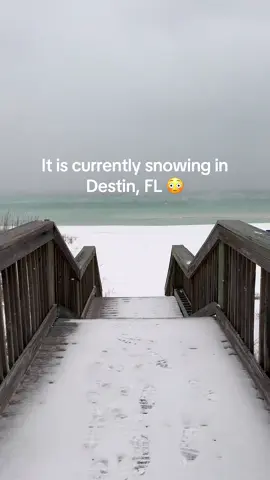 What is going on😂 #fyp #florida #destin 