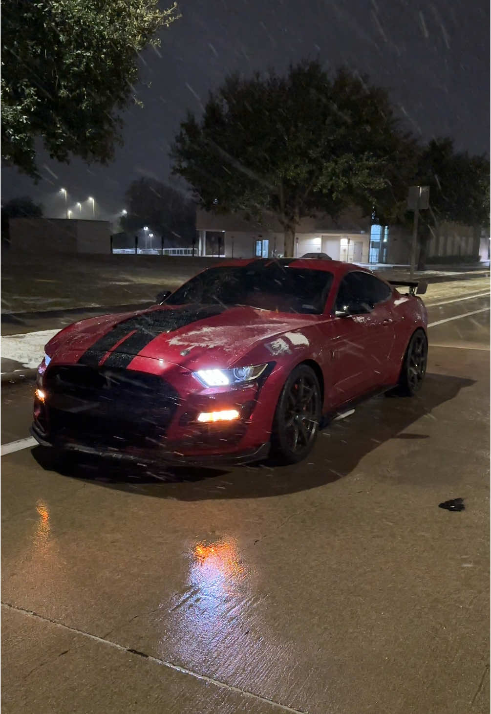 1000 horsepower in the snow, no problem #ford #shelby #mustang #gt500 #carsoftiktok #fordperformance 