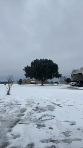 #fyp #southwestlouisiana #bigboy #trailridersoftiktok #louisianasnowday2025 