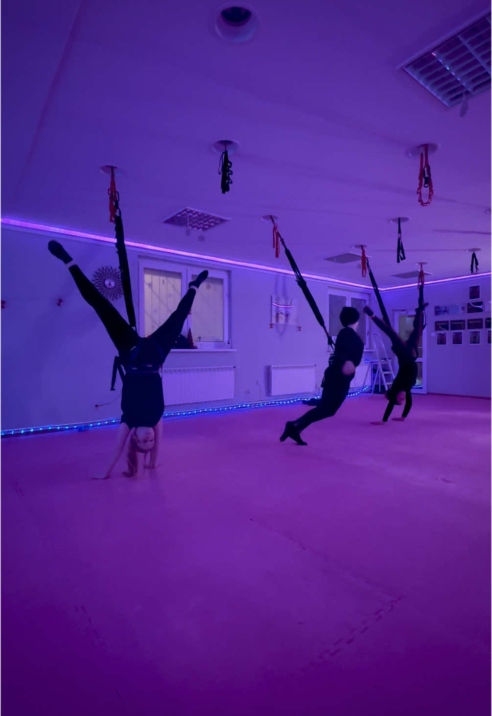 Bungee Fitness grupa młodzieżowa 🪽  #studiobeautyfly #bungeekids #bungeejunior #bungeefitness #bungeetraining #bungeefly #bungeeworkout #jumpingkids #flyingkids #treningidladzieci #fitkids #atp #atpdance #flying #poznan #polska #dladzieci #dlanastolatek #bungeedance #dance #Fitness #workout #fit #beautyfly 