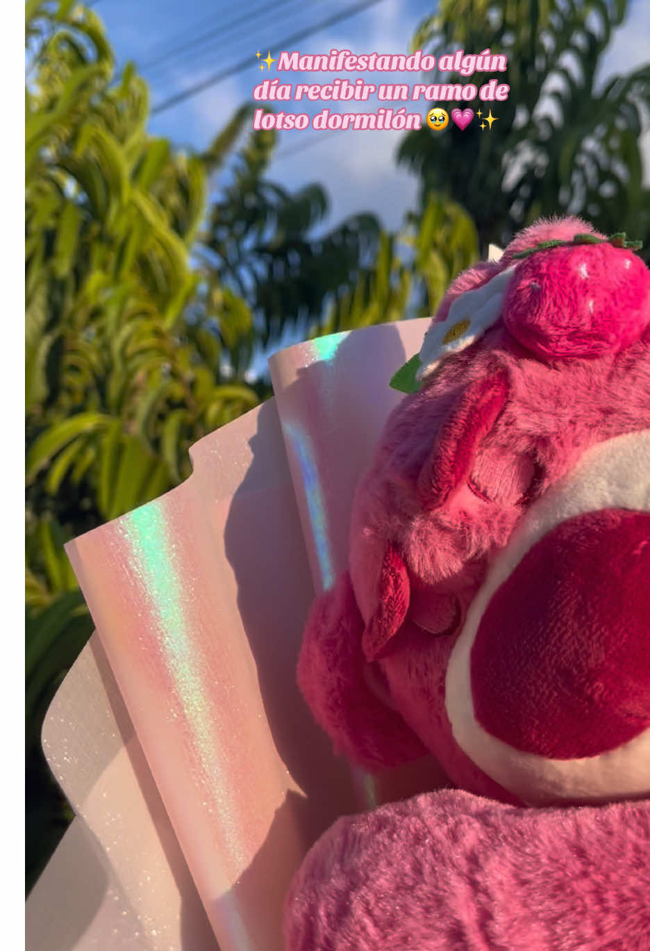RAMO LOTSO DORMILÓN 💗 Realiza tu pedido con anticipación 📲77-08-94-86 📍Santa Cruz-Bolívia  Tienda virtual 🇧🇴 #ramoderosas #lotsoflove❤️ #rosaseternas #lotso #detalles #sanvalentin #paraty #fypp #viralllllll  #santacruzdelasierra🇳🇬 #bolivia 