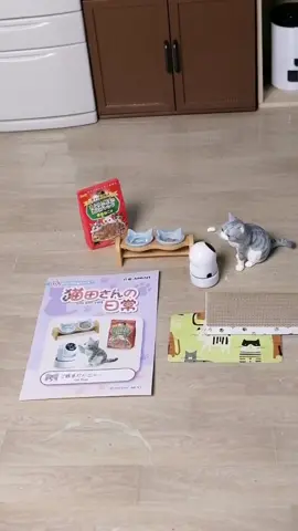 Re-ment Life with Cats Unboxing Series Box 1: Camera #CapCut ##rementcollection #rementjapan #dollhouseminiatures #miniaturecats #minivlog #cutecats #catsoftiktok #cats #catlover #rementlifewithcats #lifewithcats  #creatorsearchinsights 