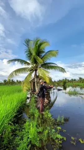 Percayalah hobi ini yang bisa meredakan semuanya  #historimancing  #mancing  #casting 