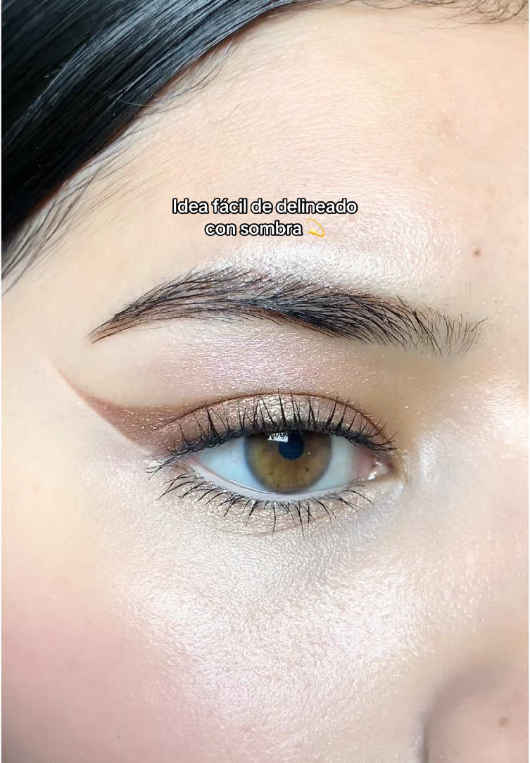 Idea fácil de delineado con sombra 💫 Para este look usé la Mood Shower Face Palette Highlight 101 “Ballerino Shower” de @Unleashia Official 💕💌 #maquillaje #makeup #maquillajetutorial #maquillajetips #maquillajedeojos #maquillajefacil  #delineado #delineador 