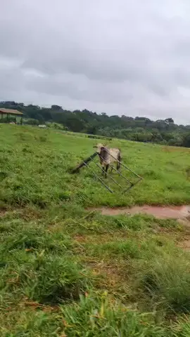 Deu ruim cunhado!!