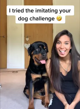 Imitate your dog challenge🤣#funnydog #foryou #usa🇺🇸 