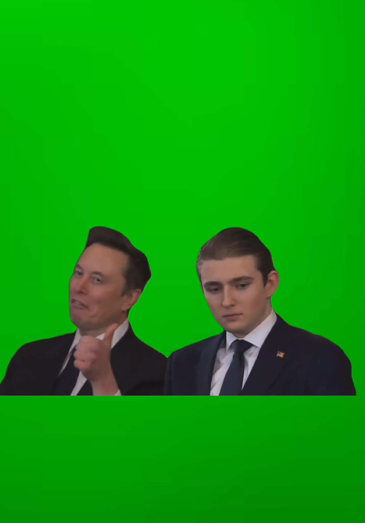 ELON MUSK AND BARRON TRUMP #trump #barrontrump #elonmusk #greenscreen #trendingtiktok #meme #memepage #fy #memes #greenscreenvideo #officehumor #workhumor #personality 